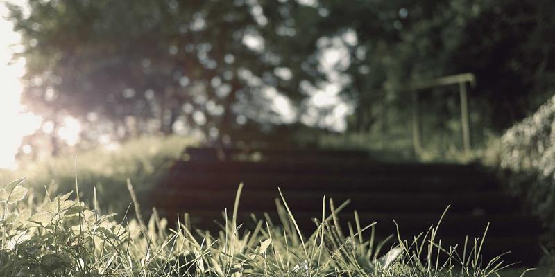 中国药品专利链接制度深度解析：创新药的护城河与仿制药的机遇之门