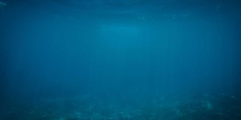 中国药品集中采购政策详解：药价平均降幅超50%，如何影响患者用药可及性？