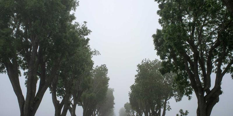 慢性病患者家庭常备药品清单与科学管理指南：守护家人健康的必备攻略