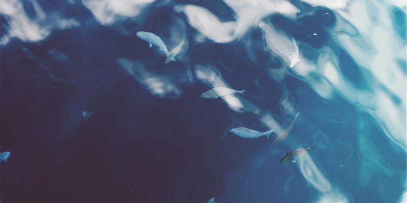 药品追溯体系全解析：从生产到消费，如何用‘码’保障每一片药的安全？