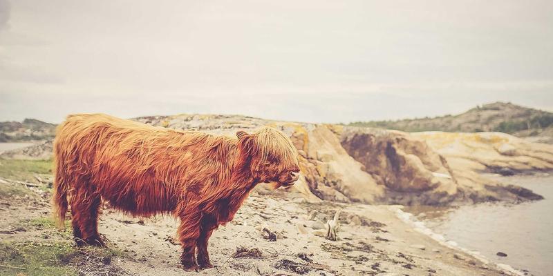 药店执业药师角色再定义：处方审核与健康咨询中的核心价值如何最大化？