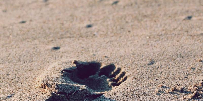 警惕药物性肝损伤：哪些常用药伤肝？如何识别与科学预防？